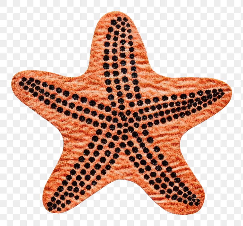 PNG Starfish shape white background invertebrate.