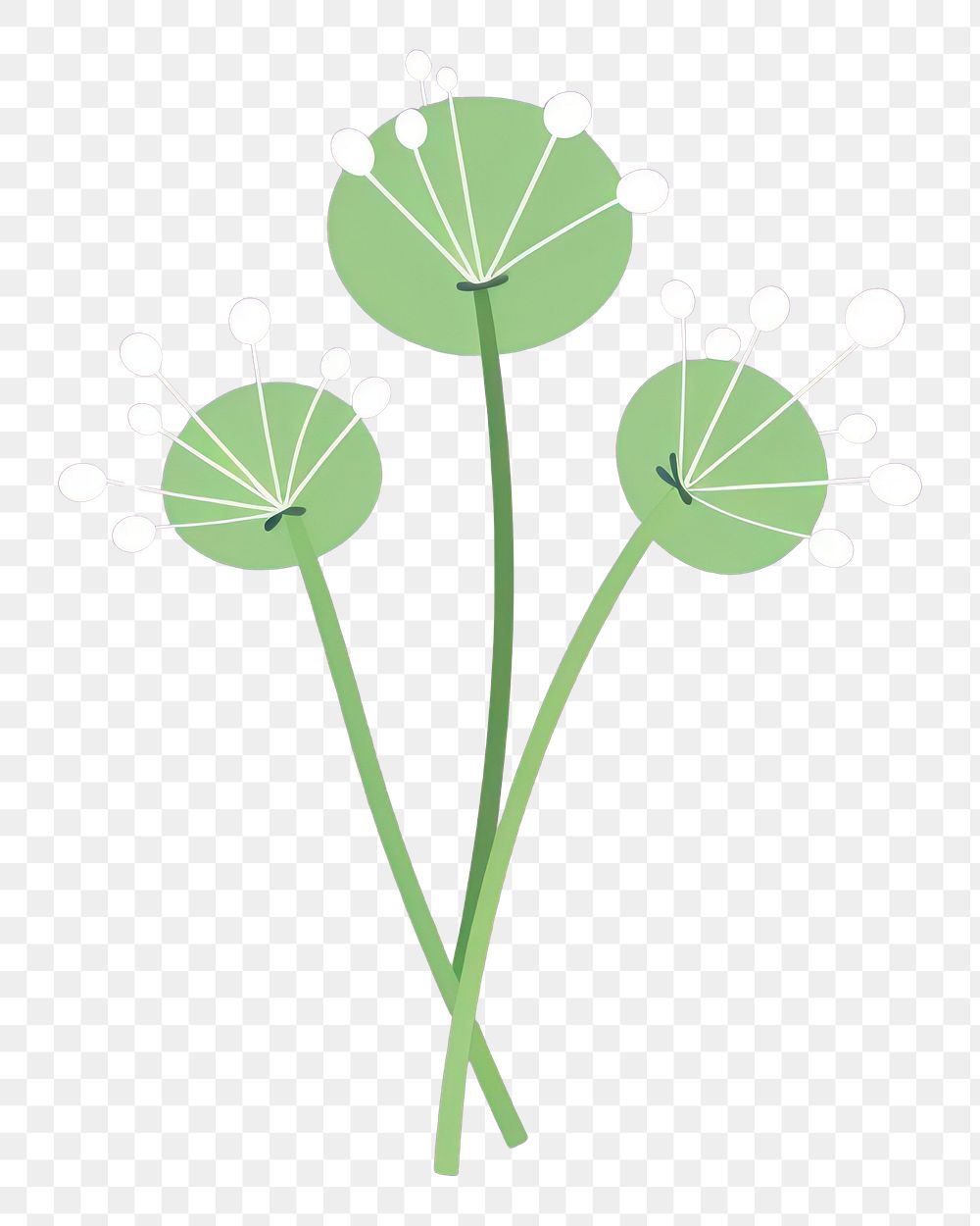 PNG Flower plant green leaf.