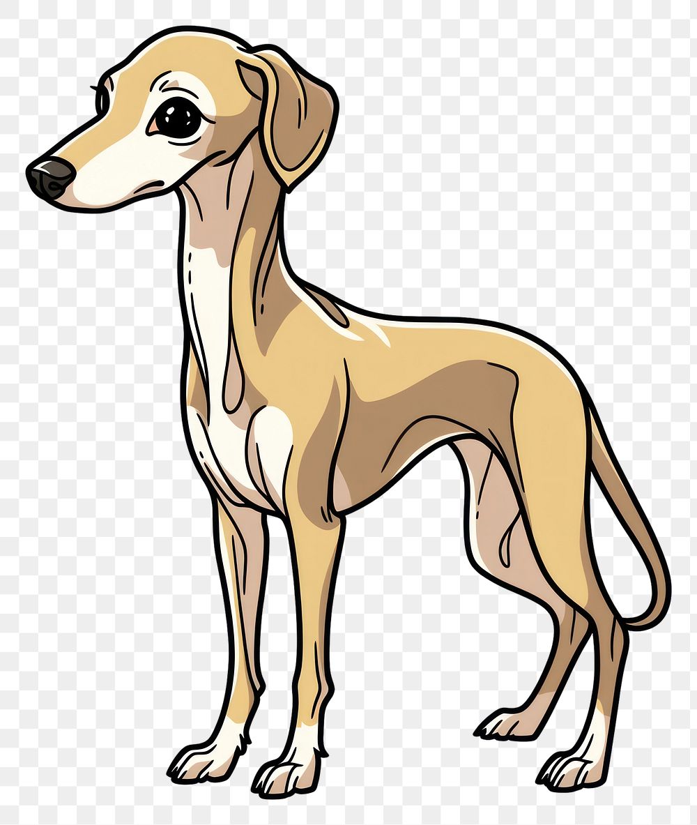 PNG Animal mammal hound dog.