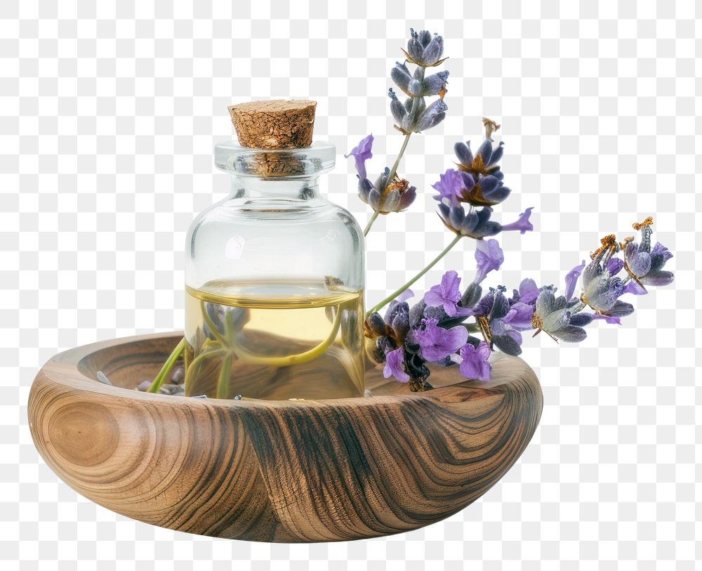 PNG Aromatheraapy lavender perfume flower.
