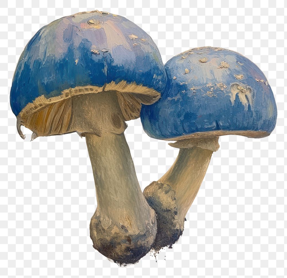 PNG A vibrant blue mushroom painting fungus agaric.