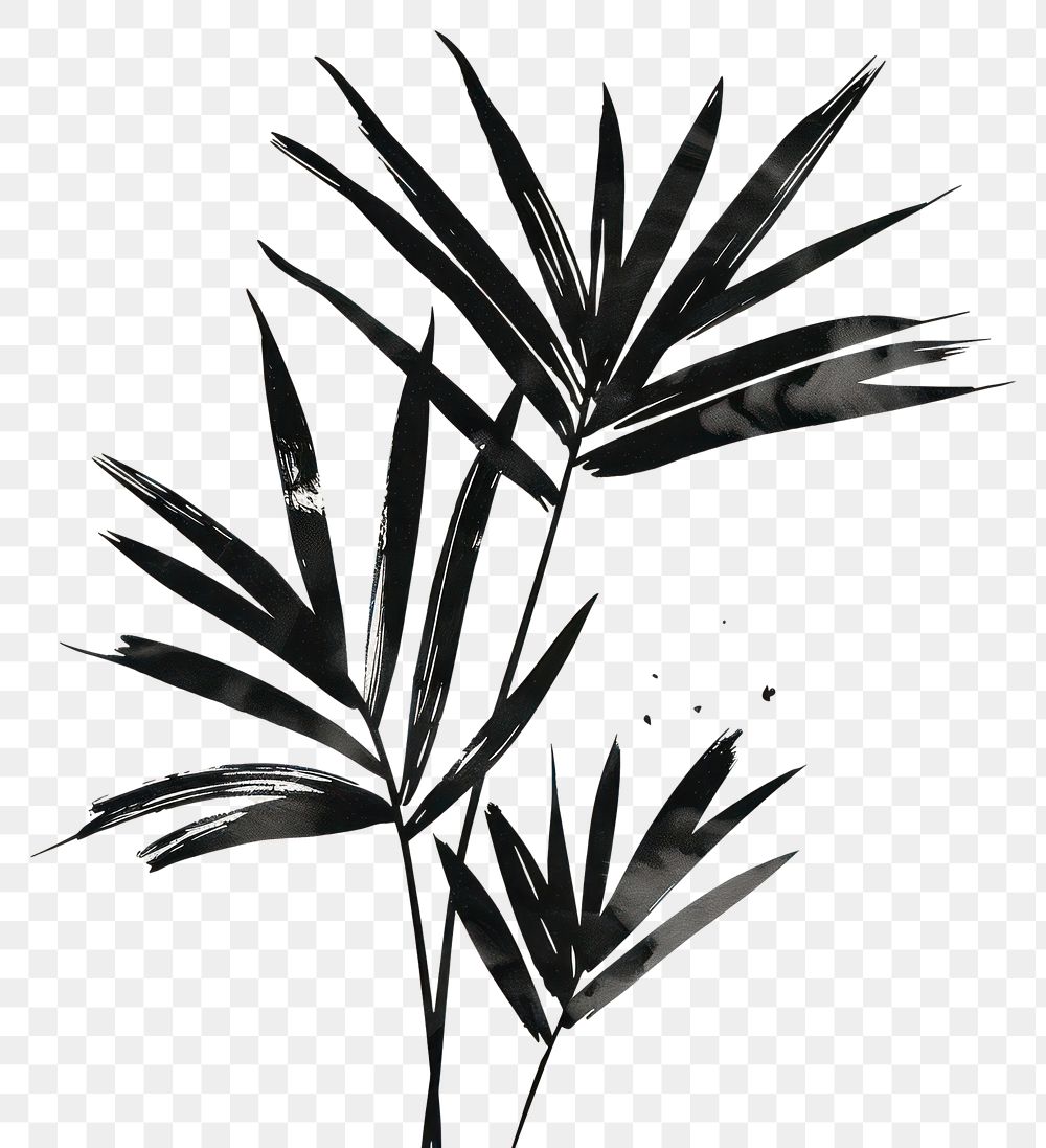 PNG Tropical leaves in style chinese ink brush stroke backgrounds drawing sketch.