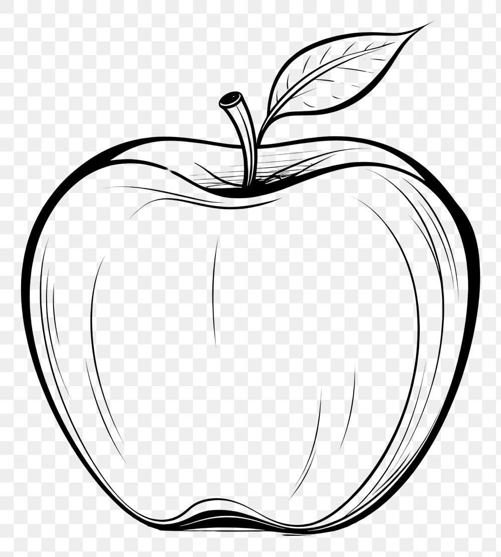 PNG Apple outline sketch drawing fruit plant.