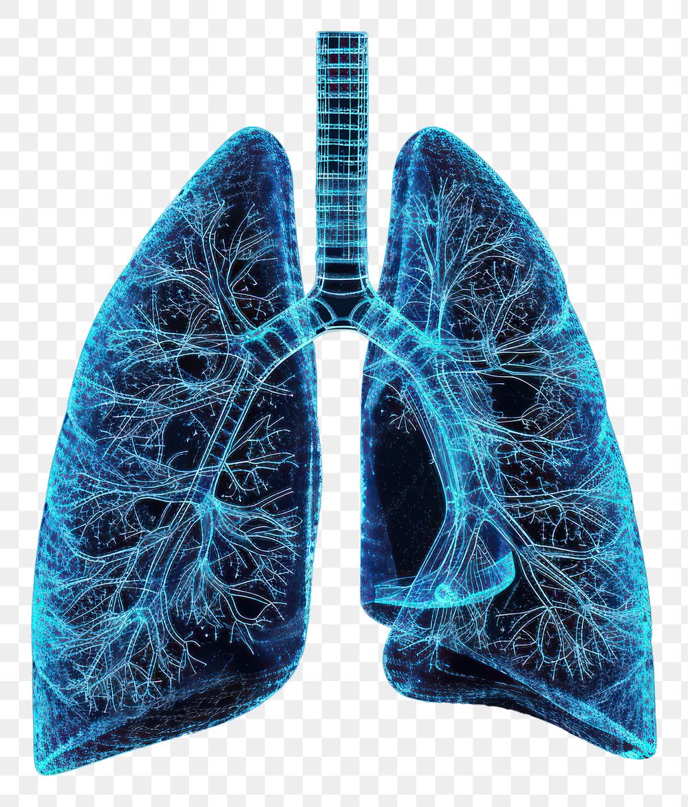 PNG  Glowing wireframe of lung blue black background tomography.