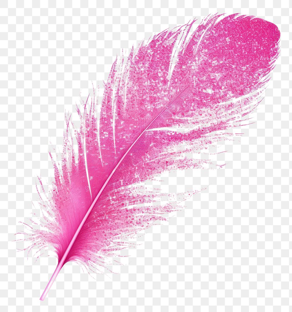 PNG Feather icon pink art white background.
