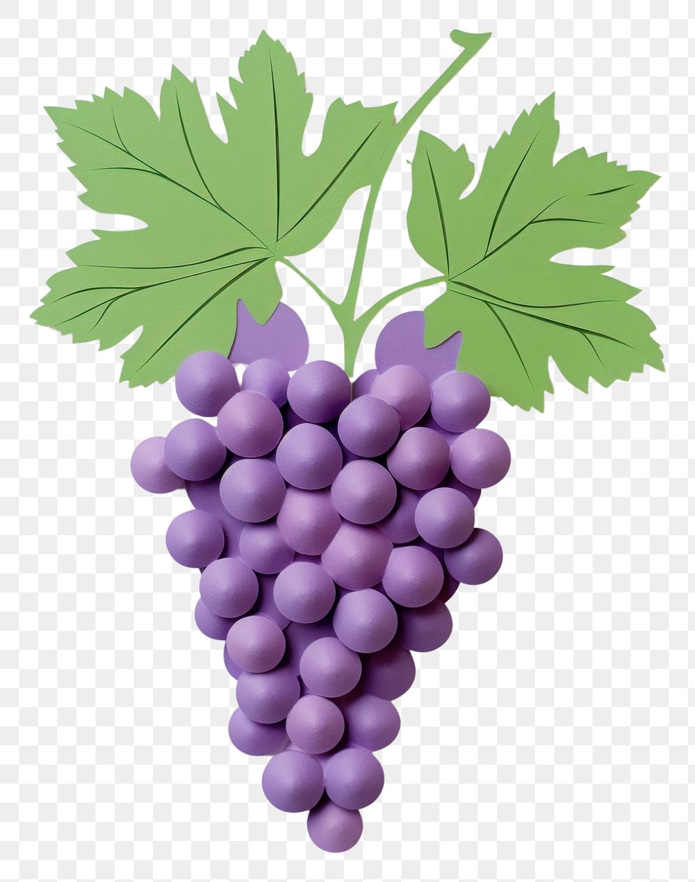 PNG Grapes grapes fruit plant.