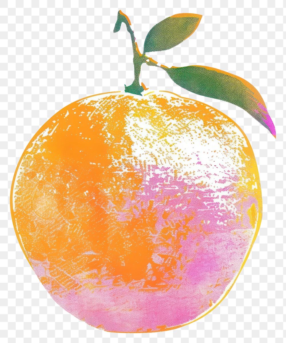PNG Grapefruit plant food clementine.