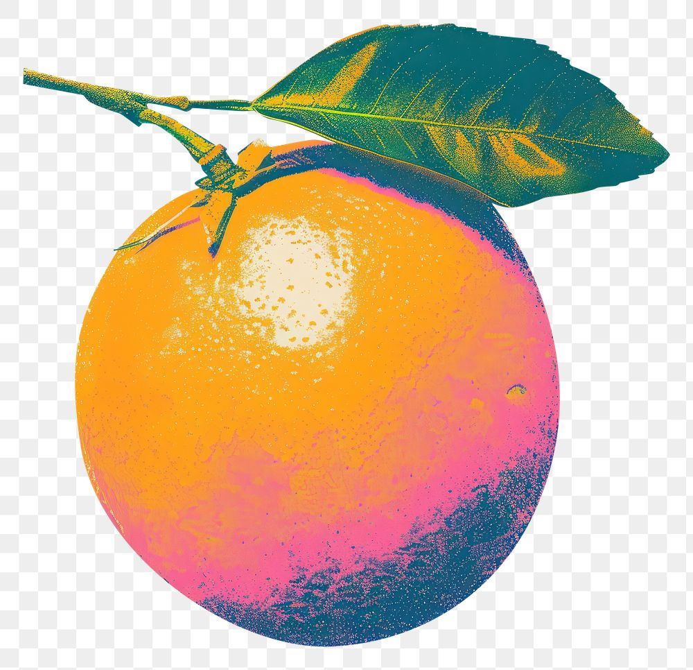 PNG Grapefruit plant food clementine.