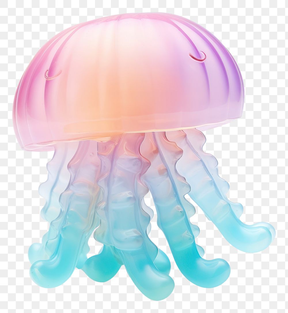 PNG Jellyfish animal invertebrate translucent.
