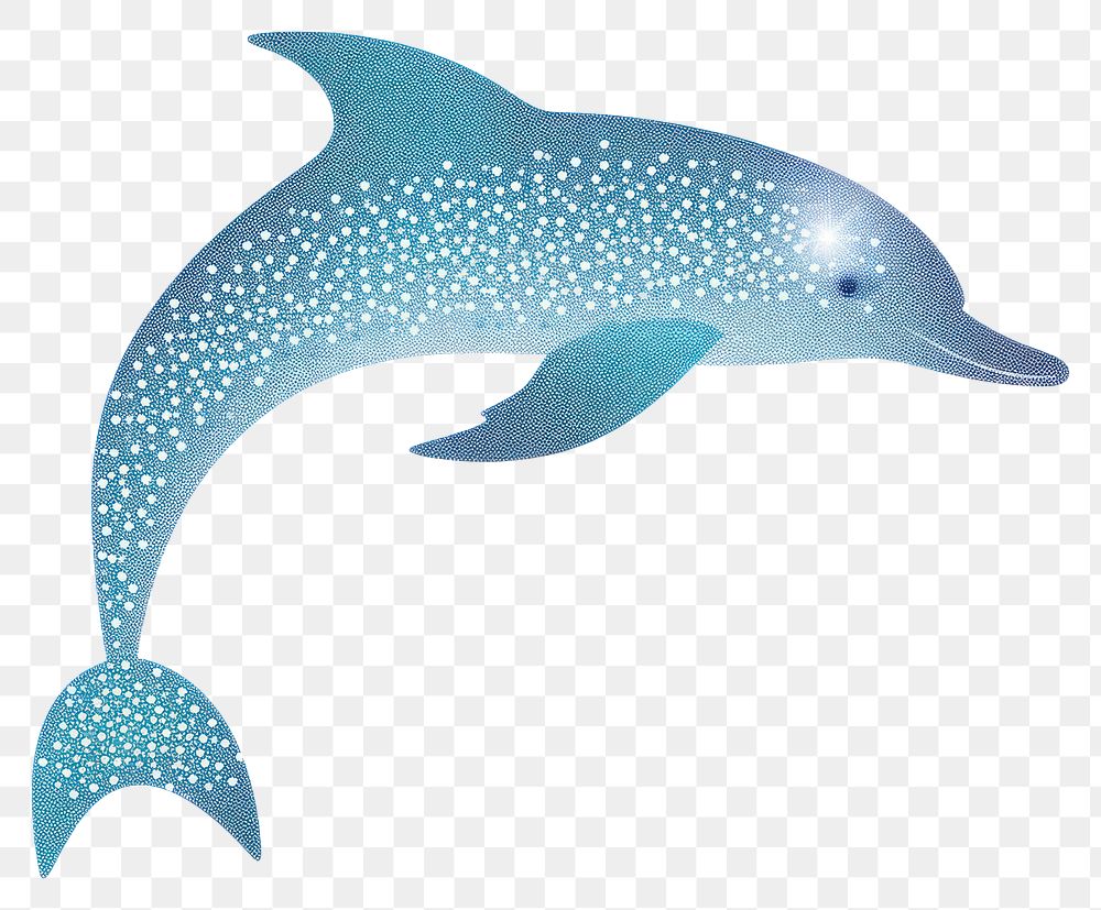 PNG Dolphin icon animal mammal fish.