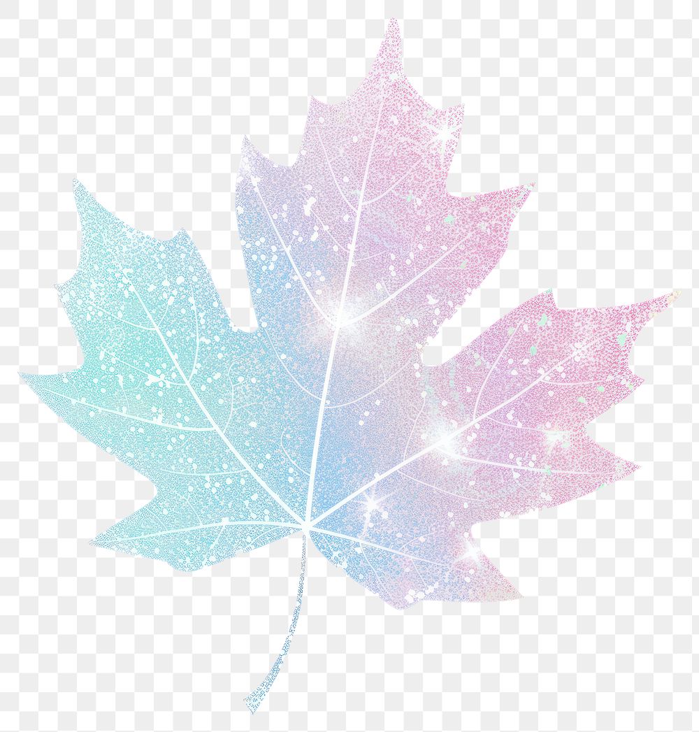 PNG Maple leaf icon maple plant tree.