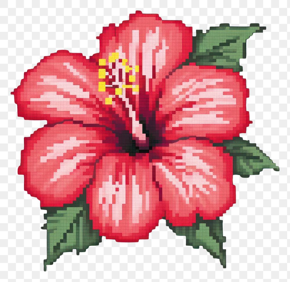 PNG  Cross stitch hibiscus embroidery needlework flower.