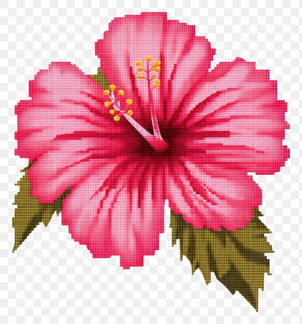 PNG  Cross stitch hibiscus flower plant white background.