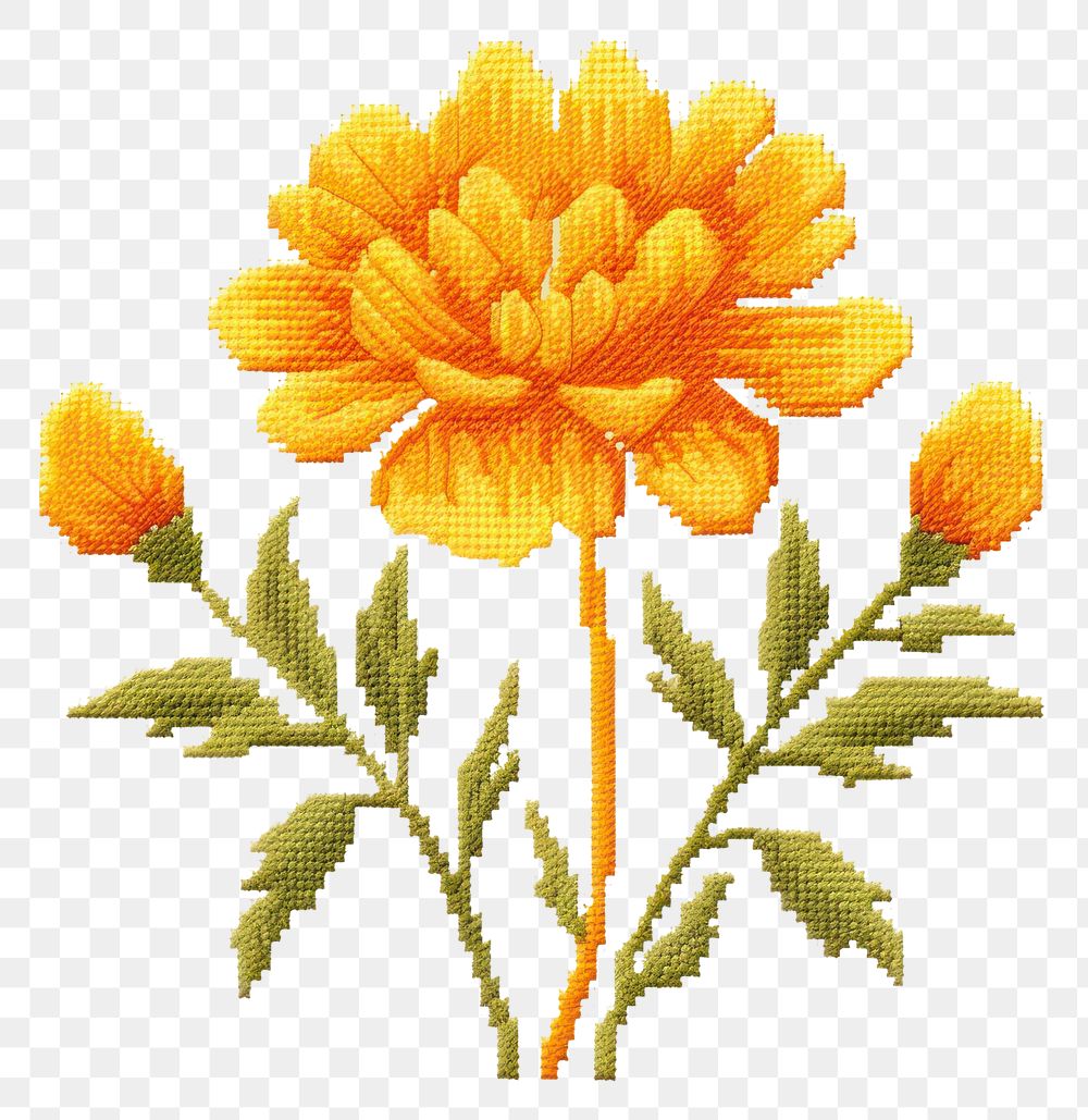 PNG  Cross stitch marigold embroidery needlework pattern.
