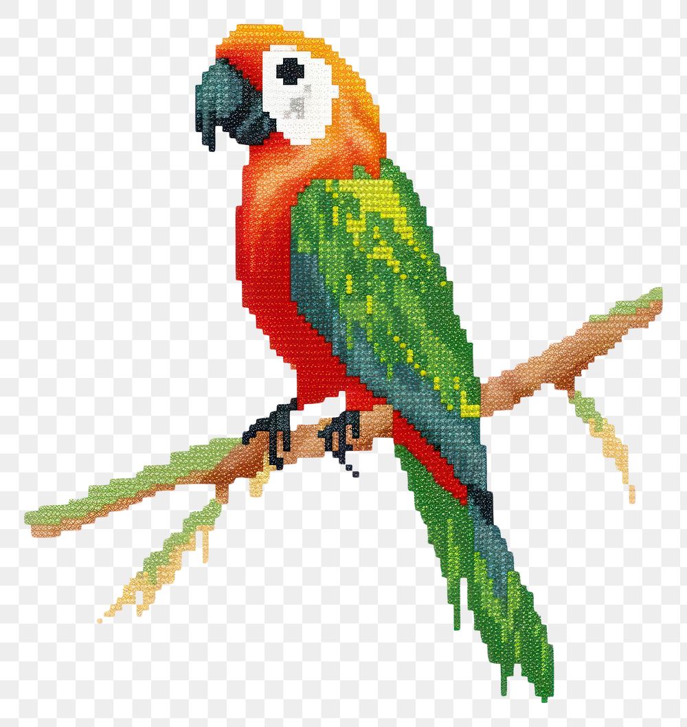 PNG  Cross stitch parrot animal bird white background.
