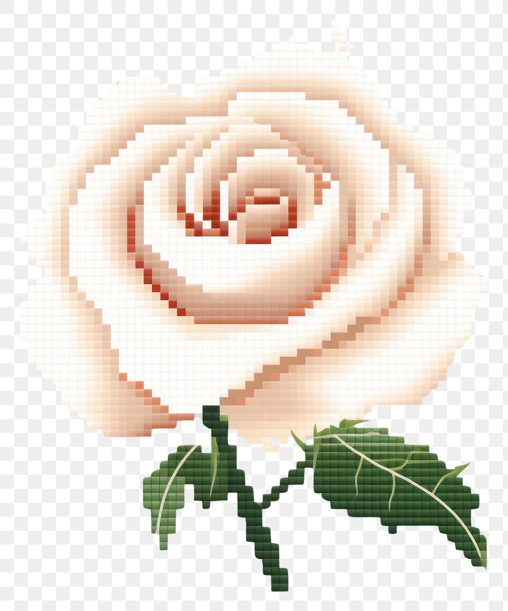 PNG  Cross stitch white rose pattern flower plant.