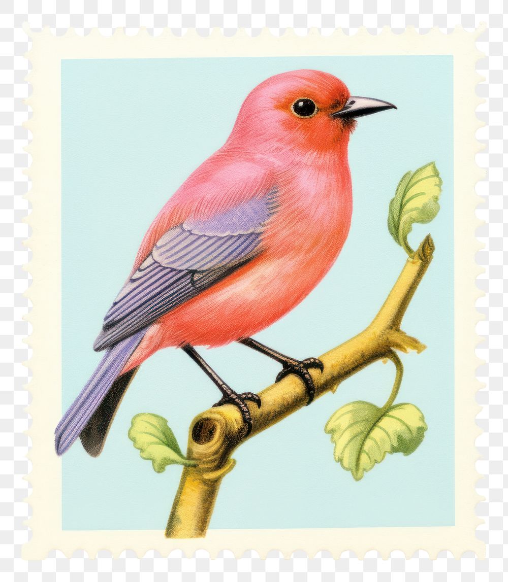 PNG  Bird Risograph style bird animal postage stamp.