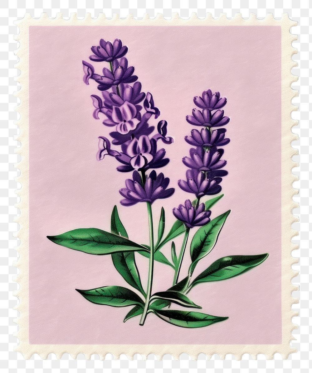 PNG  Lavender flower Risograph style lavender purple plant.