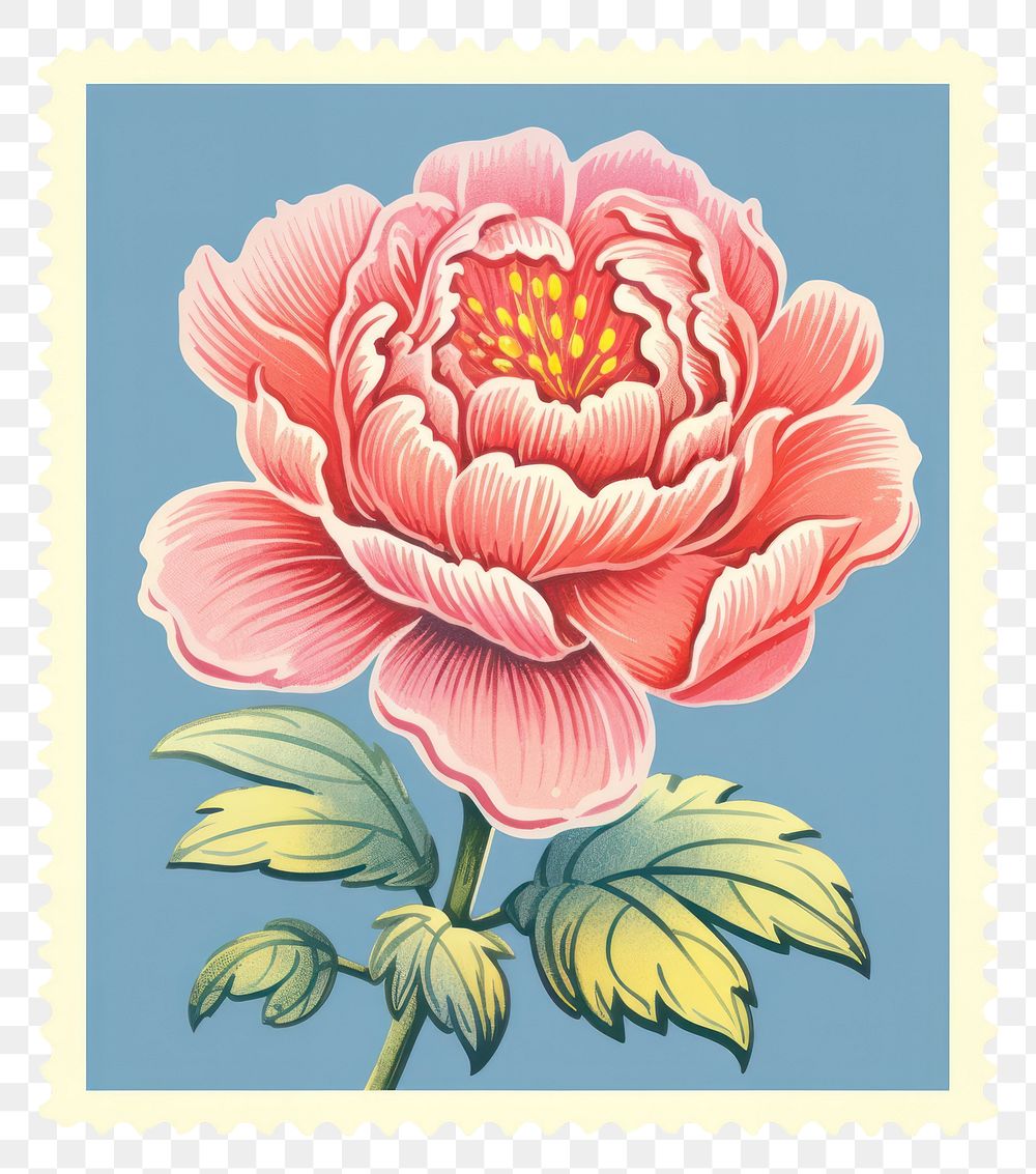 PNG  Peony Risograph style flower plant rose.