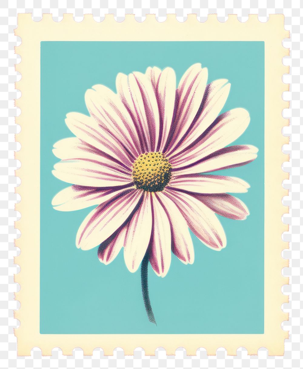 PNG  Daisy Risograph style daisy flower petal.