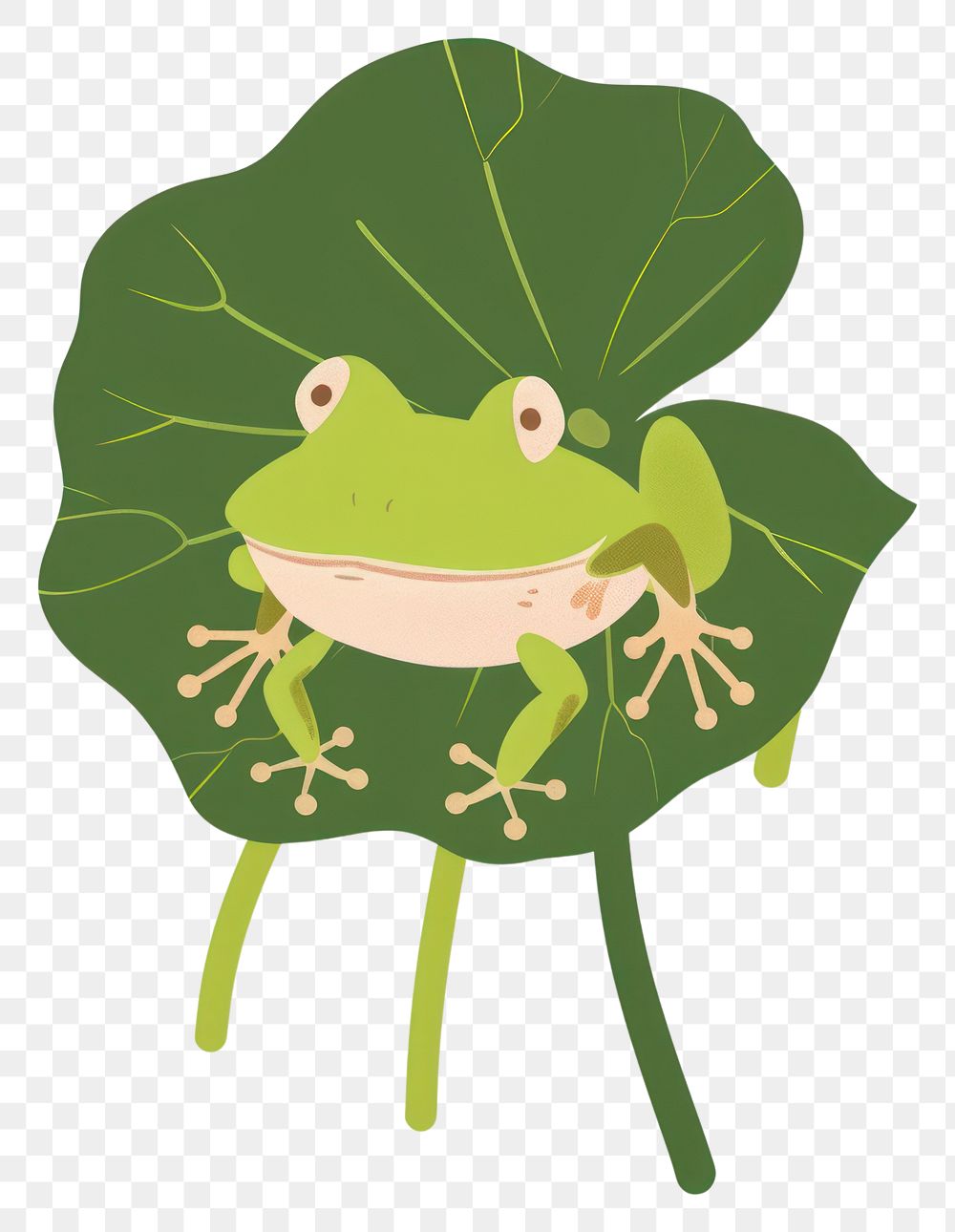 PNG Frog dance on lotus leaf amphibian animal plant.