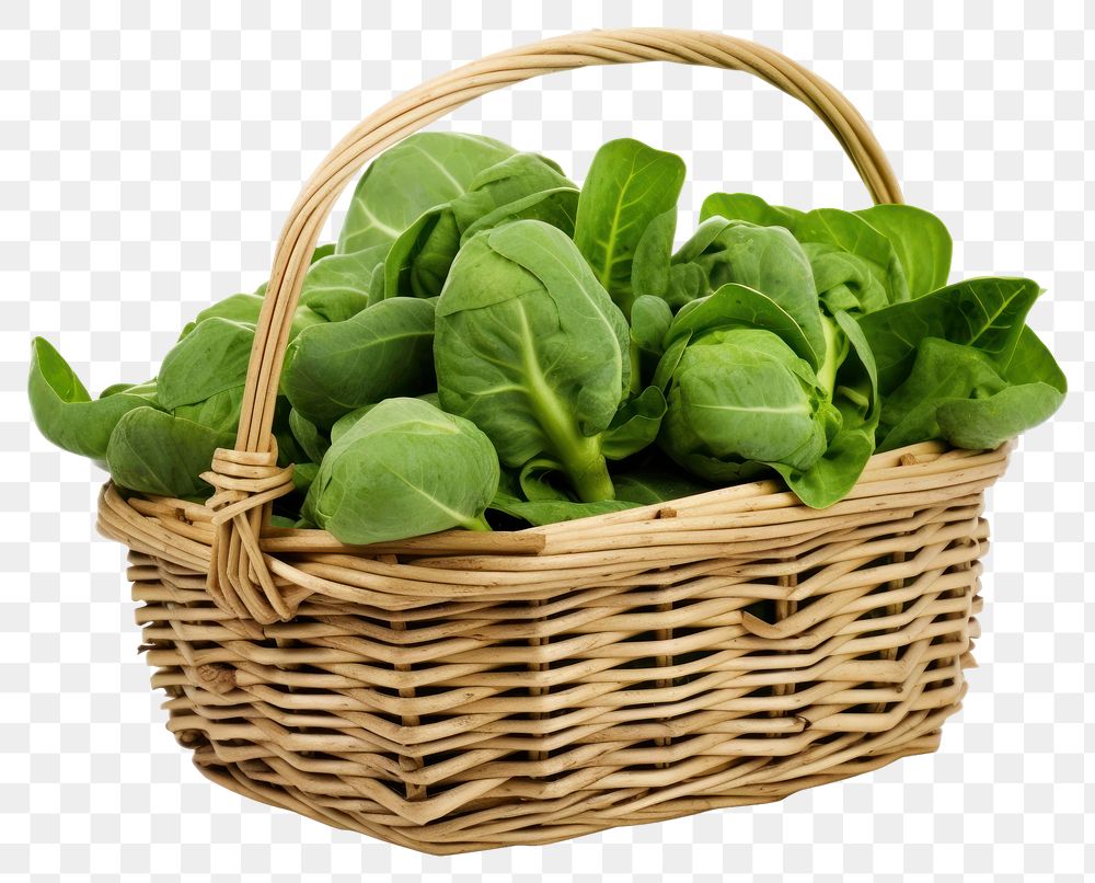 PNG Brussels sprout basket vegetable spinach.