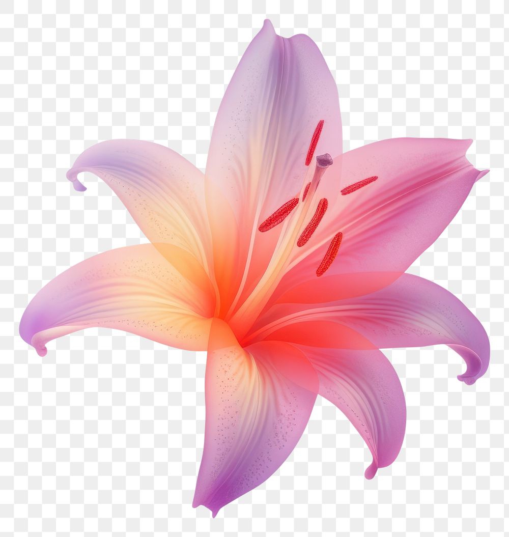 PNG  Abstract blurred gradient illustration Lily flower lily petal plant.