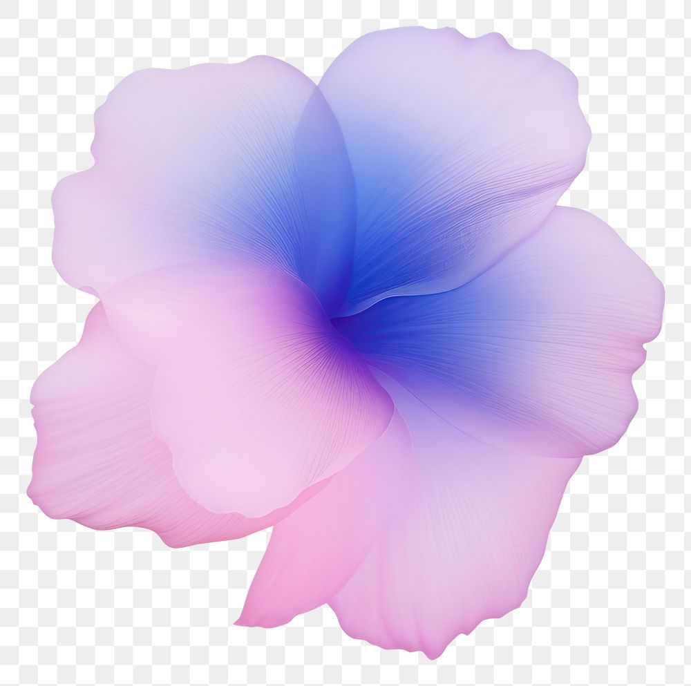 PNG  Abstract blurred gradient illustration Pink flower petal plant pink.