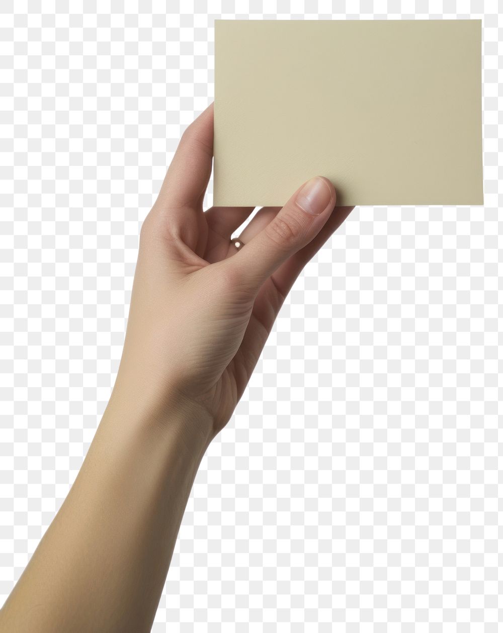 PNG Open hand hold beige flat card paper white background simplicity.