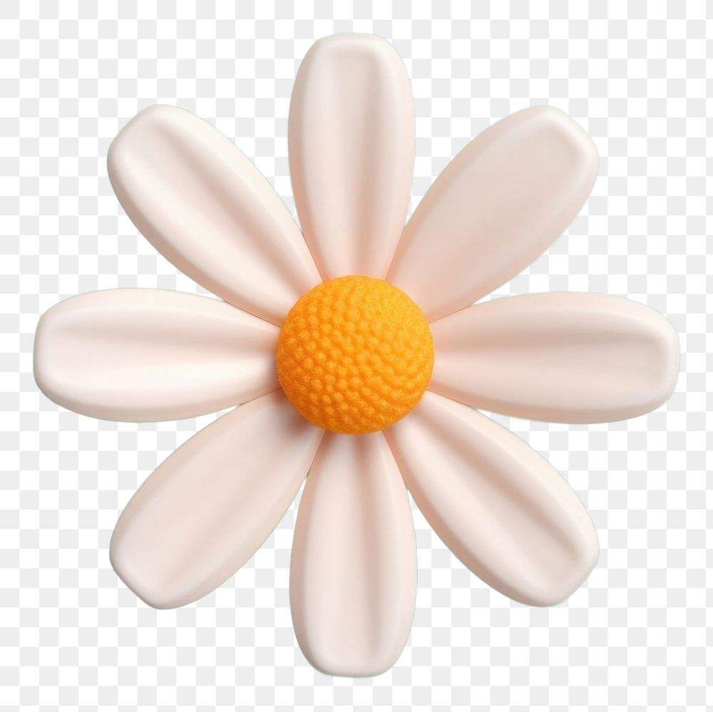 PNG Daisy daisy flower petal.