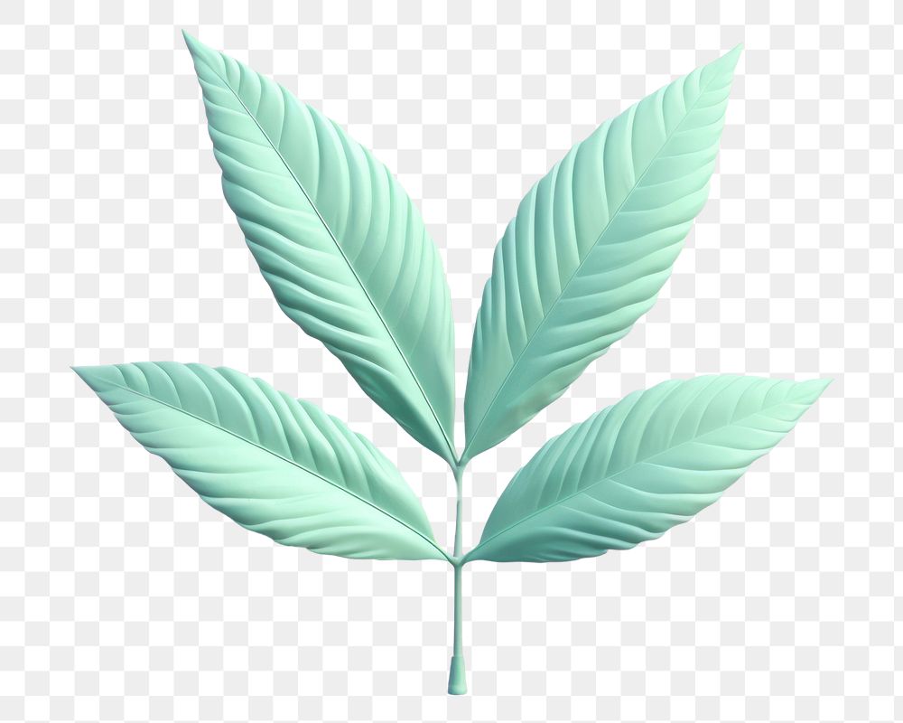 PNG Leaf leaf plant cannabis.