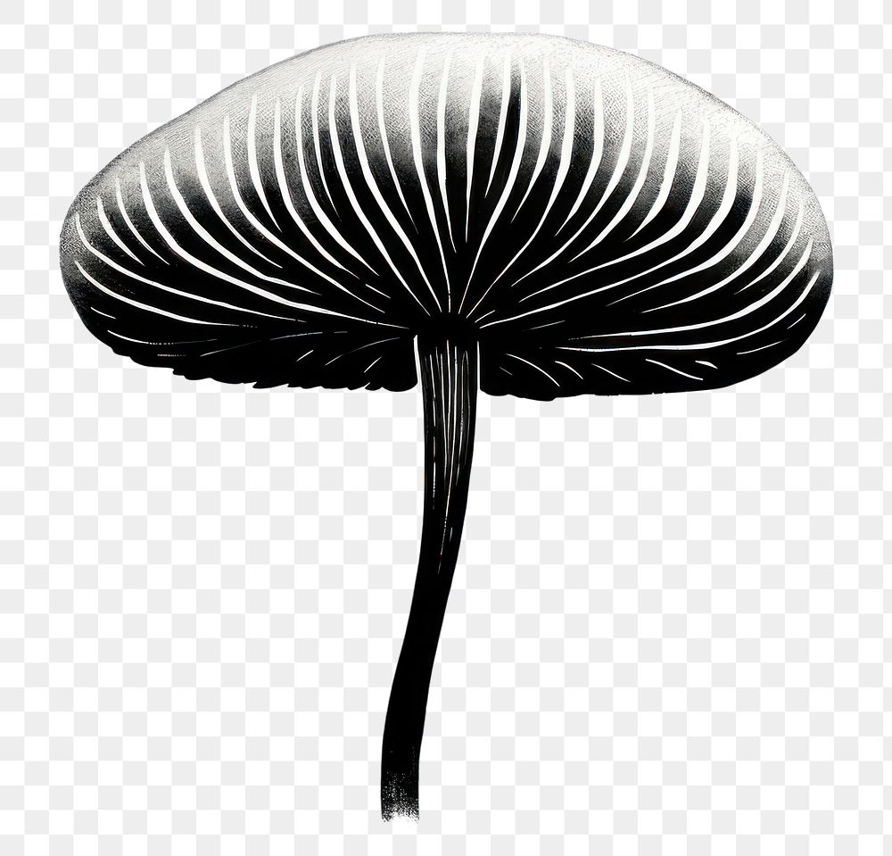 PNG Mushroom celestial drawing sketch plant.