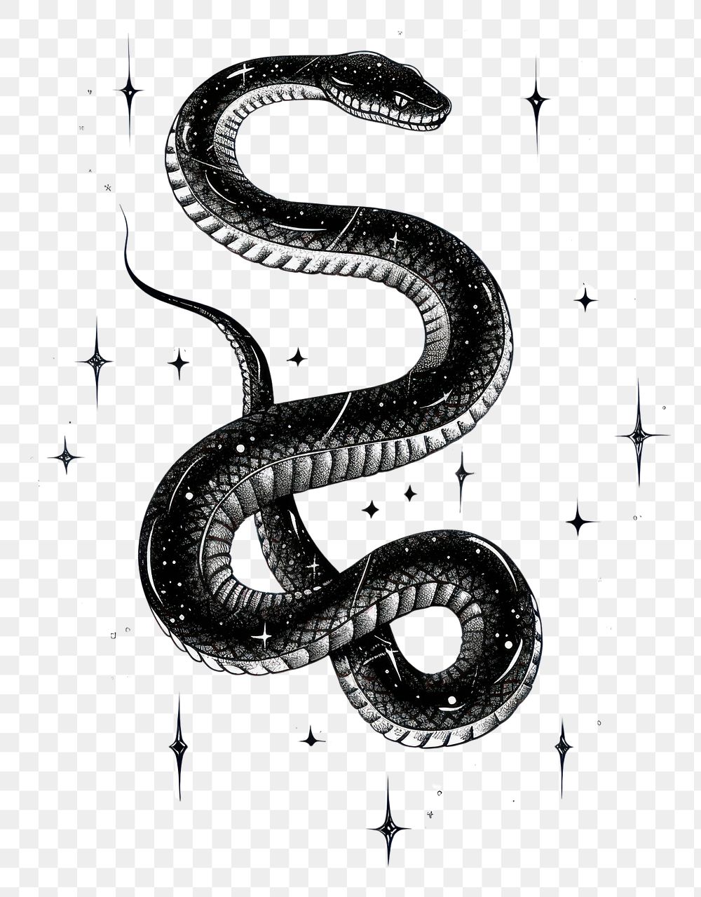 PNG Snake celestial drawing line monochrome