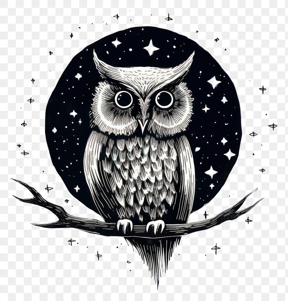 PNG Owl celestial drawing animal sketch.