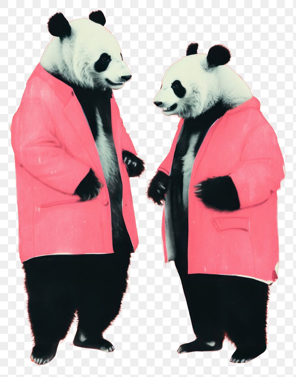 PNG Two panda businessperson talking animal mammal bear.
