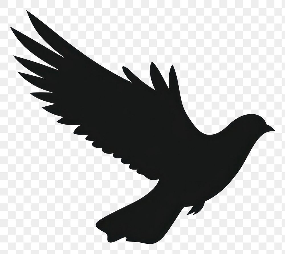 PNG A bird flying silhouette animal white.