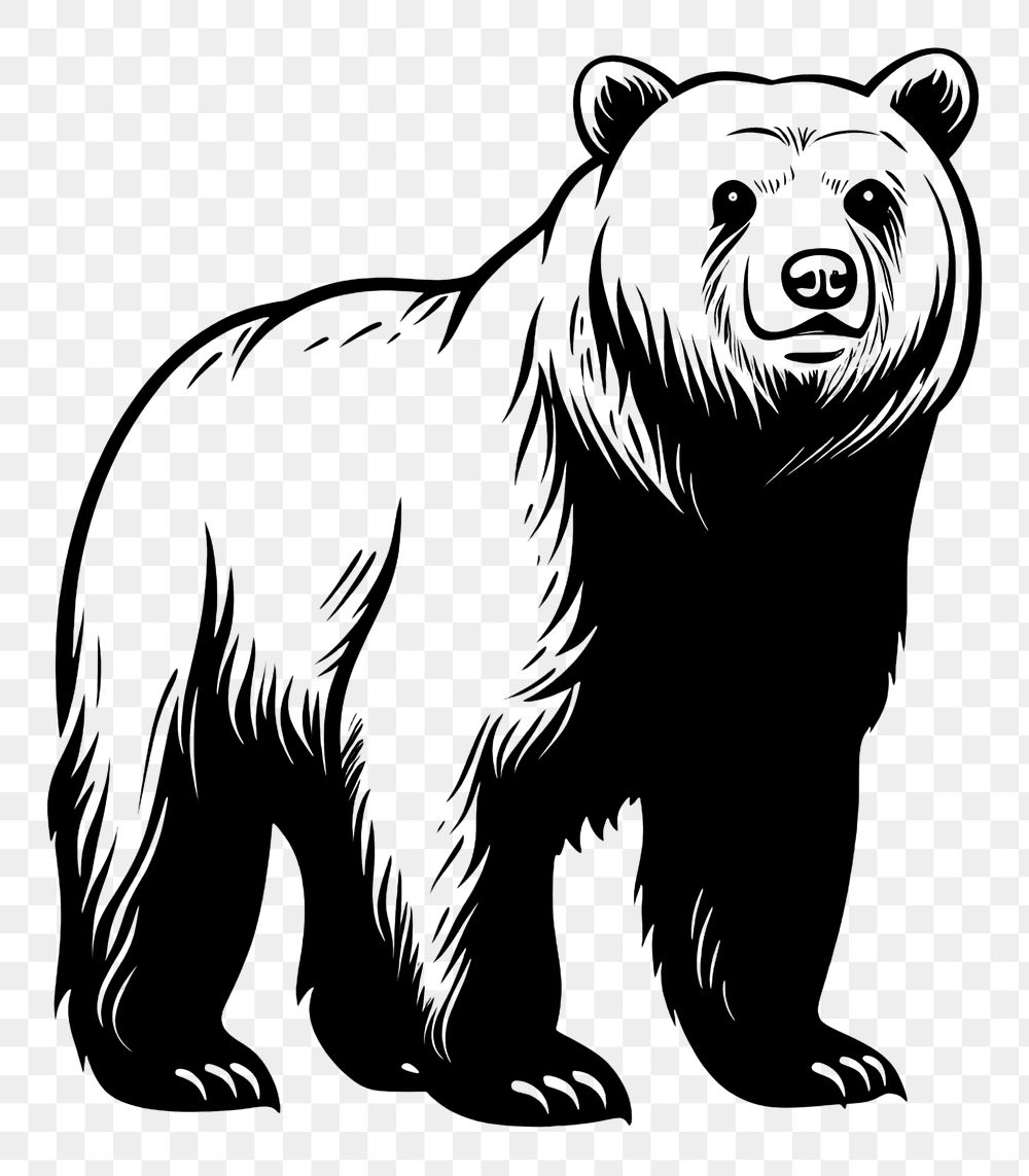 PNG Mammal animal bear monochrome.