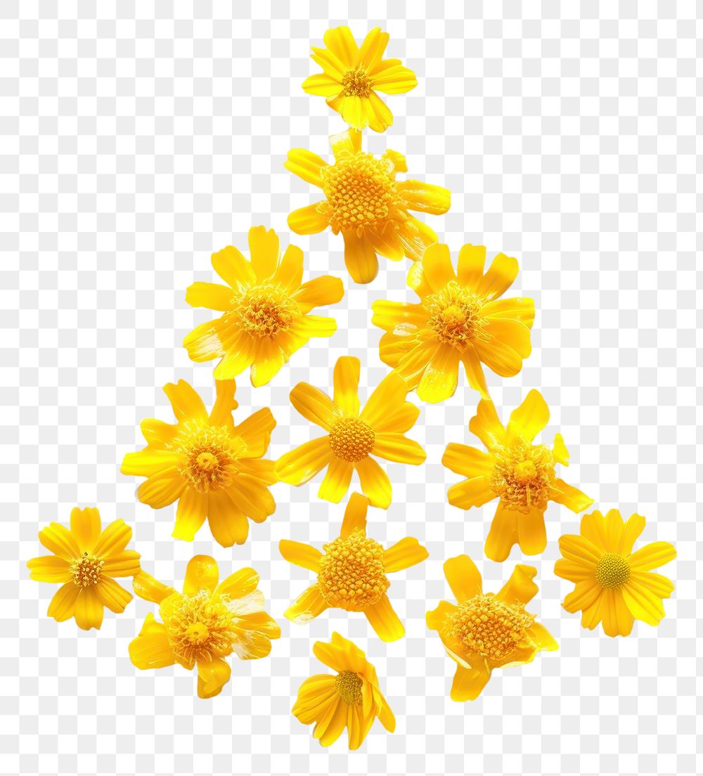 PNG Flat flower bell icon shape nature yellow petal.