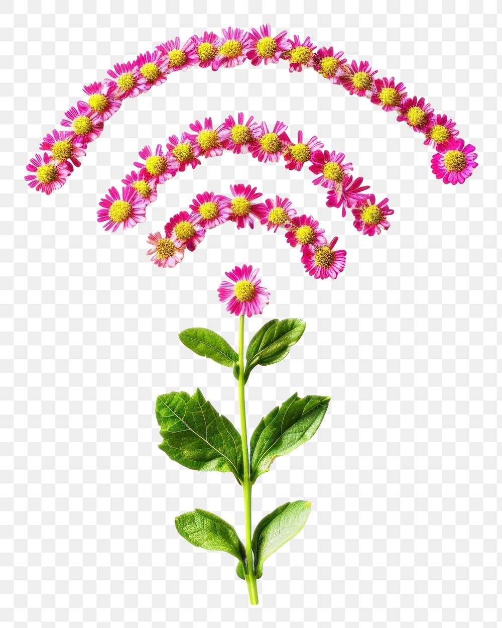 PNG Flat flower wifi icon shape nature plant petal.
