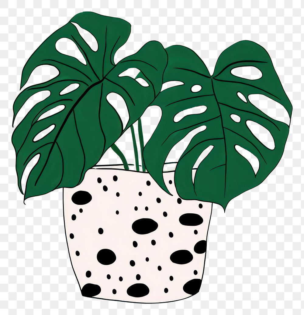 PNG  Monstera plant cartoon leaf flowerpot.