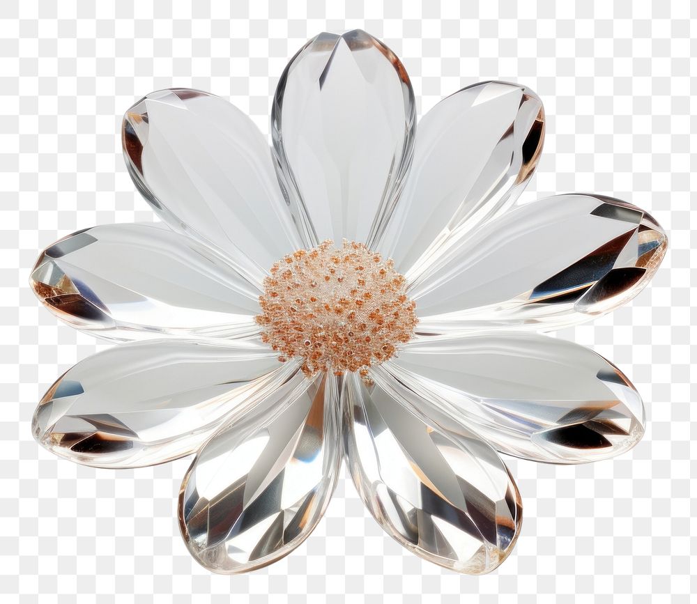 PNG Jewelry flower brooch daisy.