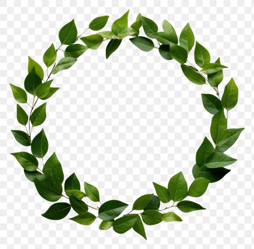 PNG Leafs circle wreath plant.