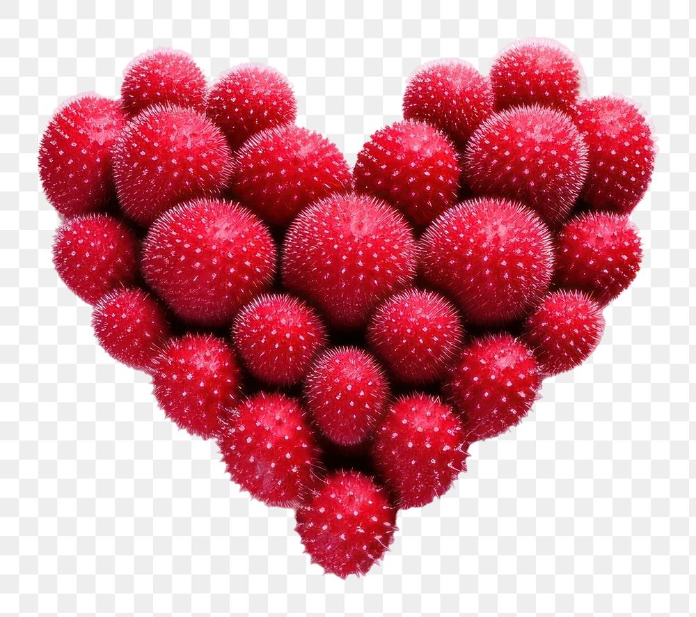 PNG Cactus in hearts shape raspberry fruit plant.