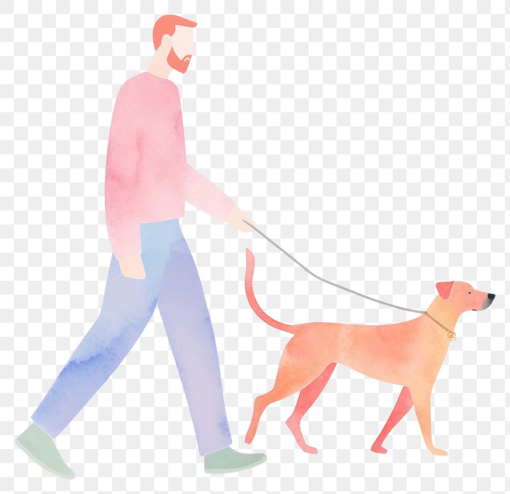 PNG  Man walking leash dog mammal.