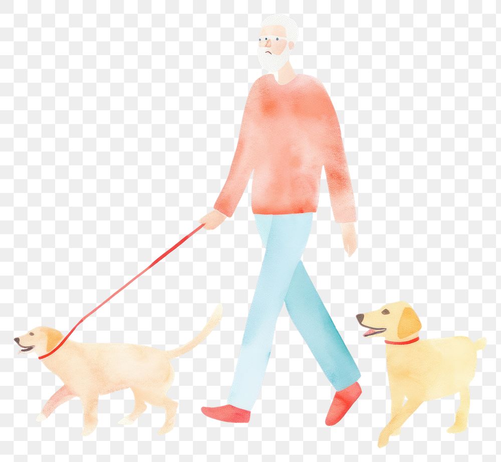 PNG  Old man walking leash dog animal.