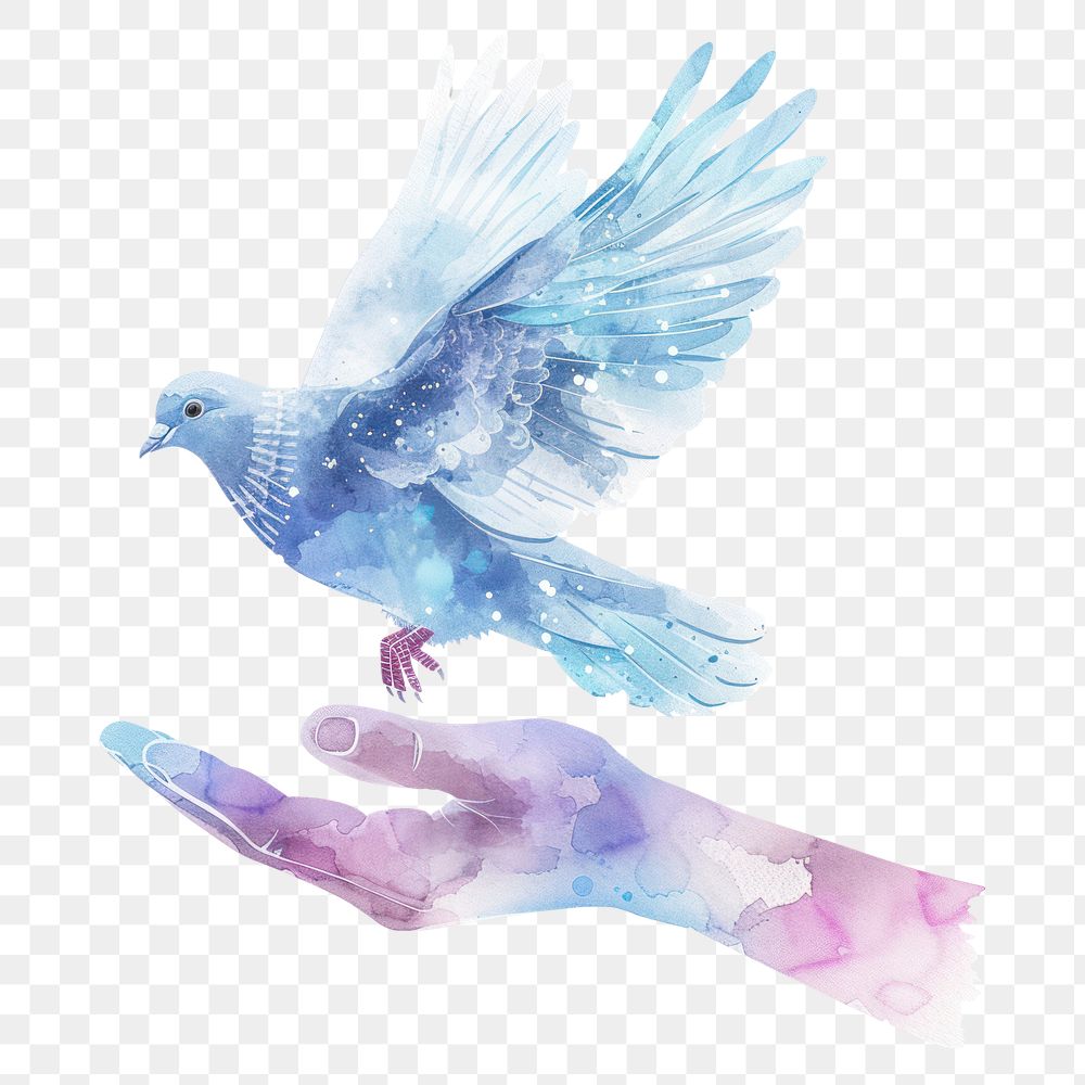 PNG Hand holding dove in Watercolor style animal bird creativity.
