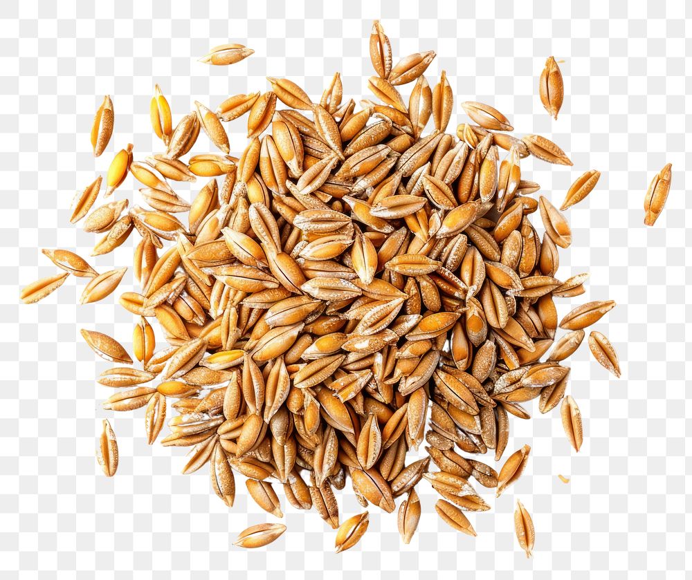 PNG  Farro hulled wheat food white background ingredient.