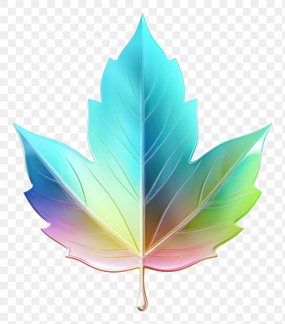 PNG 3d render leaf icon holographic plant tree white background.