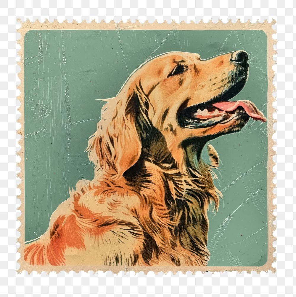 PNG Vintage postage stamp with golden retriever animal mammal pet.