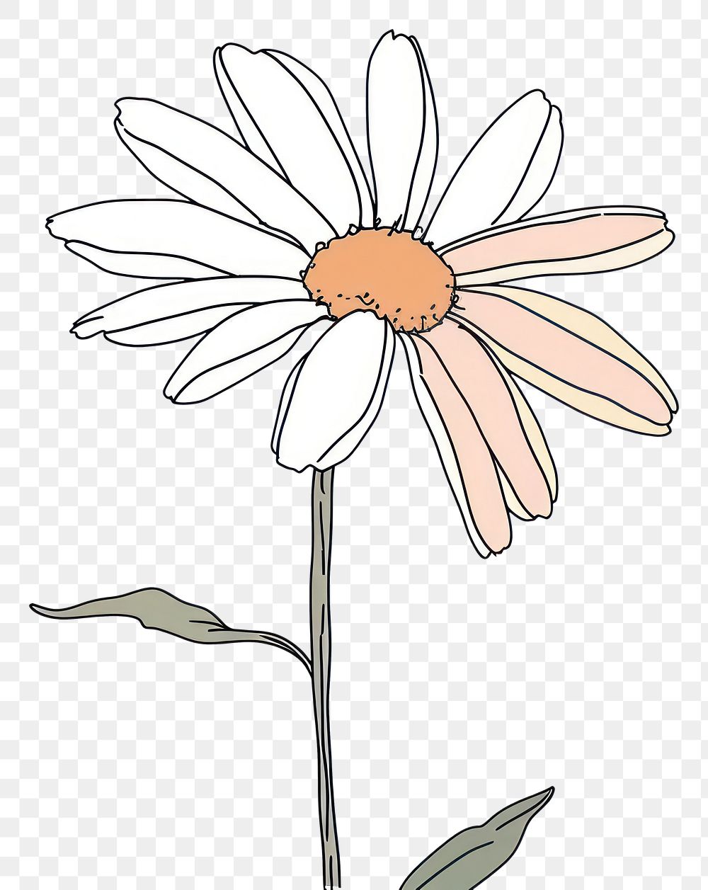 PNG Continuous line drawing daisy flower plant white art.